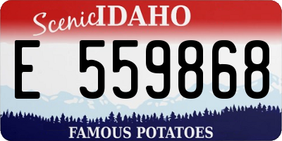 ID license plate E559868