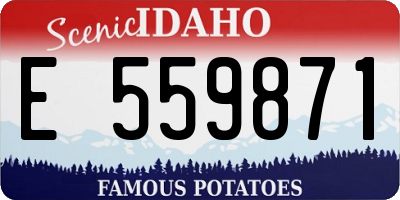 ID license plate E559871