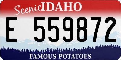 ID license plate E559872
