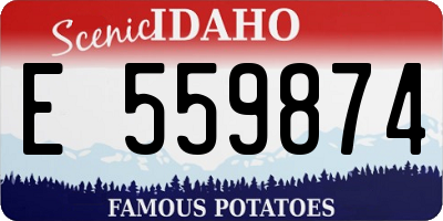 ID license plate E559874