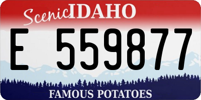 ID license plate E559877