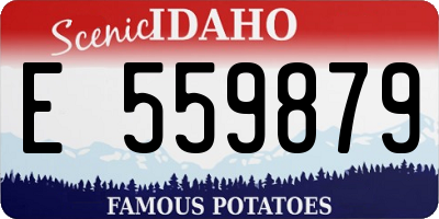 ID license plate E559879