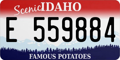 ID license plate E559884