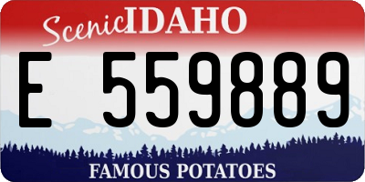ID license plate E559889