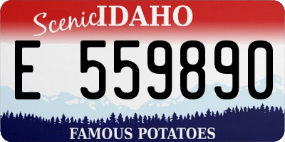 ID license plate E559890