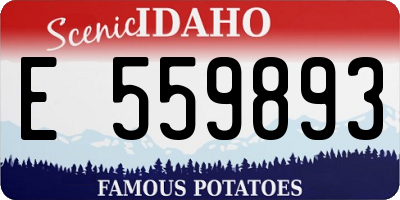 ID license plate E559893