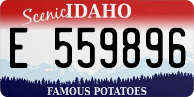 ID license plate E559896