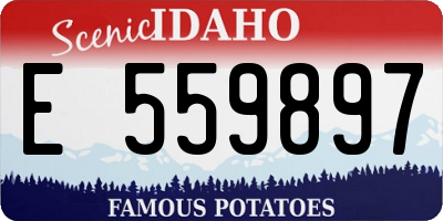 ID license plate E559897