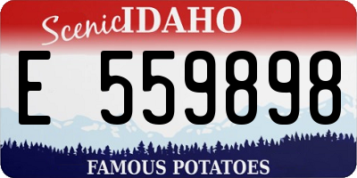 ID license plate E559898