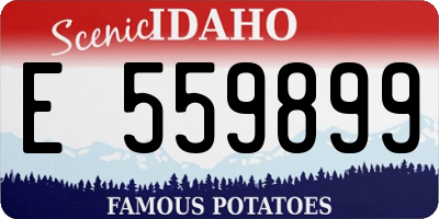 ID license plate E559899