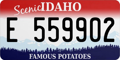 ID license plate E559902