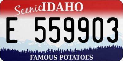ID license plate E559903