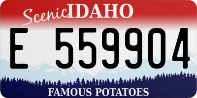 ID license plate E559904