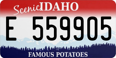 ID license plate E559905