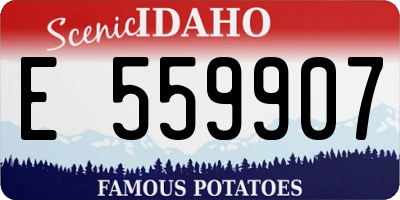 ID license plate E559907