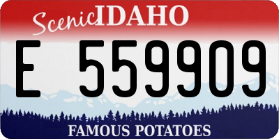 ID license plate E559909