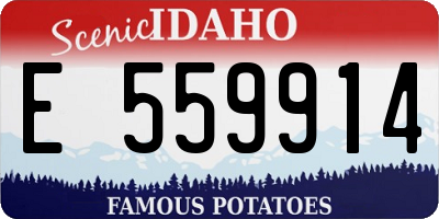ID license plate E559914