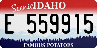 ID license plate E559915