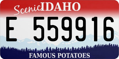 ID license plate E559916