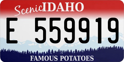 ID license plate E559919