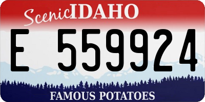 ID license plate E559924