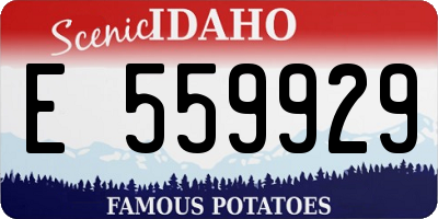 ID license plate E559929