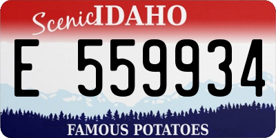 ID license plate E559934