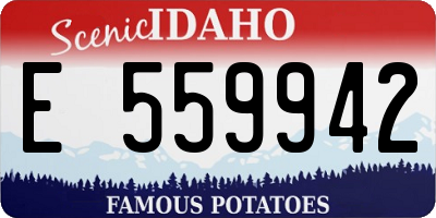 ID license plate E559942