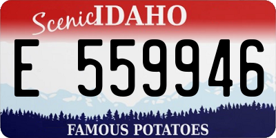 ID license plate E559946