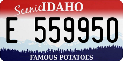 ID license plate E559950