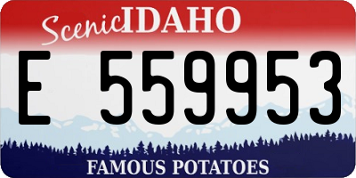 ID license plate E559953