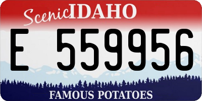 ID license plate E559956