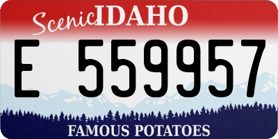 ID license plate E559957