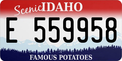 ID license plate E559958