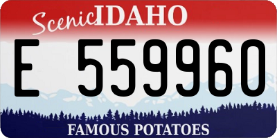 ID license plate E559960