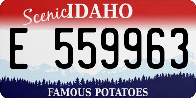ID license plate E559963