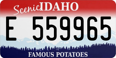 ID license plate E559965