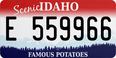 ID license plate E559966