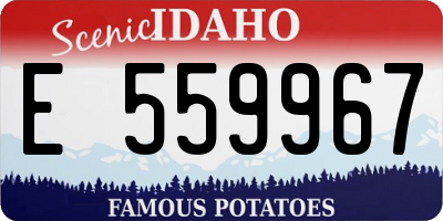 ID license plate E559967