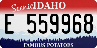 ID license plate E559968