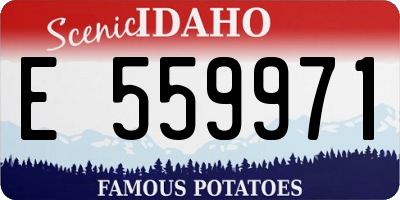 ID license plate E559971