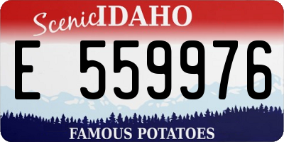 ID license plate E559976