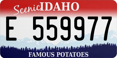 ID license plate E559977