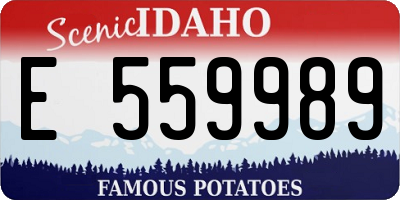 ID license plate E559989