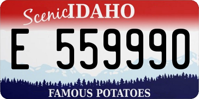 ID license plate E559990