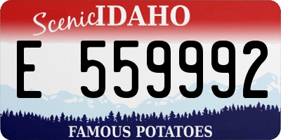 ID license plate E559992