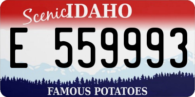 ID license plate E559993