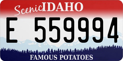 ID license plate E559994