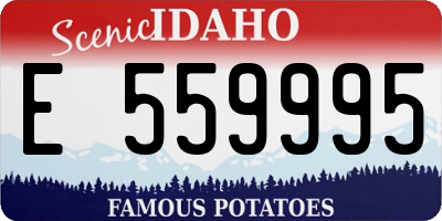 ID license plate E559995