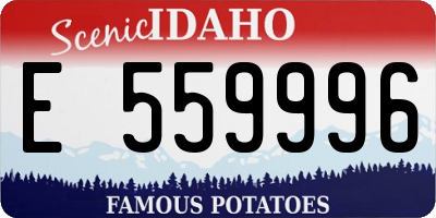 ID license plate E559996